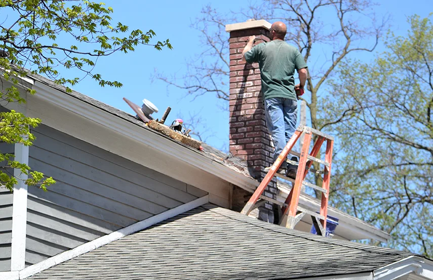 Chimney & Fireplace Inspections Services in Nacogdoches, TX